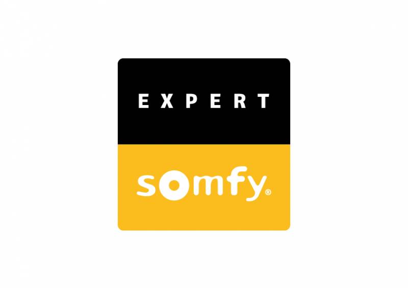 EXPERT SOMFY CLINIQUE DU STORE REPARATEUR ET INSTALLATEUR LYON